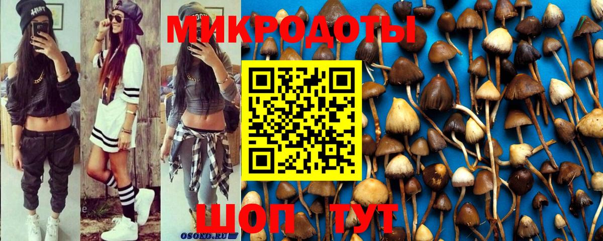 Галлюциногенные грибы Psilocybine cubensis Кунгур