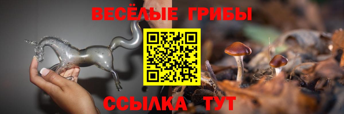 Галлюциногенные грибы Cubensis  Вход с VPN  Кунгур 